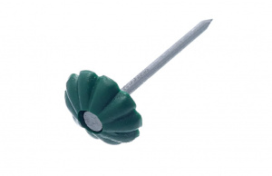Гвозди 1,4х25 с декор.шляпкой (зеленая), (уп. 50 шт)