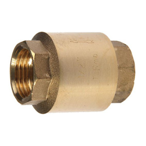 Клапан обратный 2"  (33946)